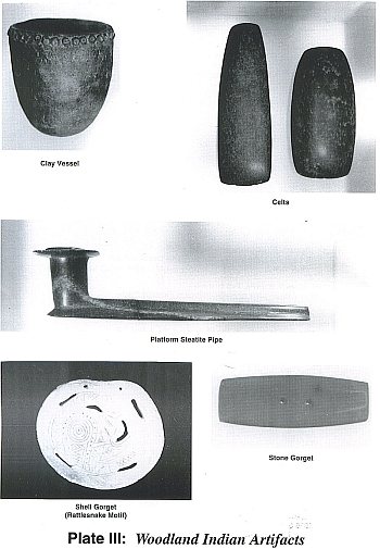 Indian Projectile Point Types from Virginia and the Carolinas